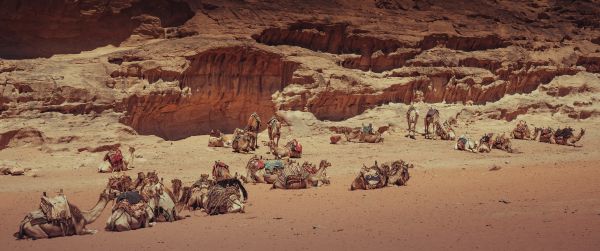 Wadi Rum Village, Jordan Wallpaper 3440x1440