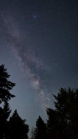 Mount Tamalpais, California, USA Wallpaper 640x1136