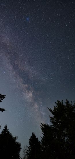 Mount Tamalpais, California, USA Wallpaper 1080x2280