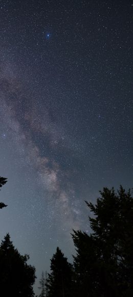 Mount Tamalpais, California, USA Wallpaper 1080x2400