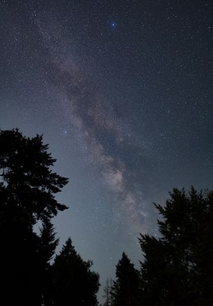 Mount Tamalpais, California, USA Wallpaper 1640x2360