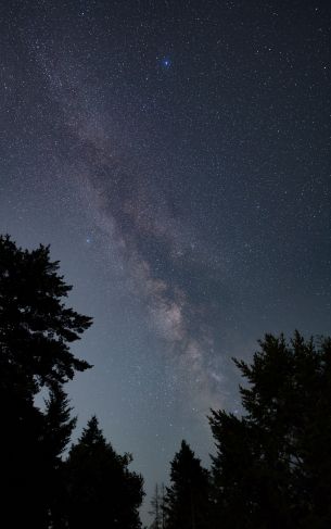 Mount Tamalpais, California, USA Wallpaper 1752x2800