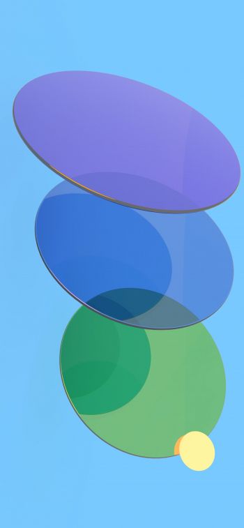 Обои 828x1792 разноцветные круги
