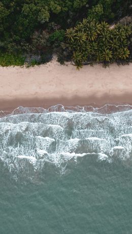 Douglas, Queensland, Australia Wallpaper 640x1136