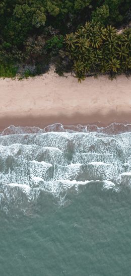 Douglas, Queensland, Australia Wallpaper 1080x2280