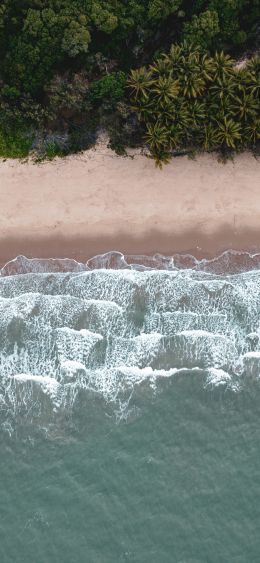 Douglas, Queensland, Australia Wallpaper 1080x2340