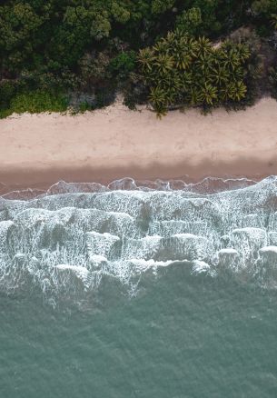 Douglas, Queensland, Australia Wallpaper 1640x2360