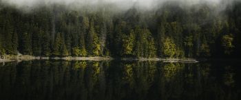 Обои 3440x1440 отражение леса в озере