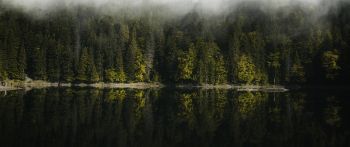Обои 2560x1080 отражение леса в озере