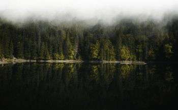 Обои 2560x1600 отражение леса в озере