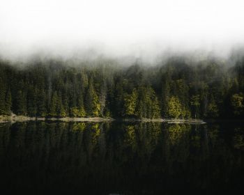 Обои 1280x1024 отражение леса в озере