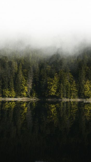 Обои 640x1136 отражение леса в озере