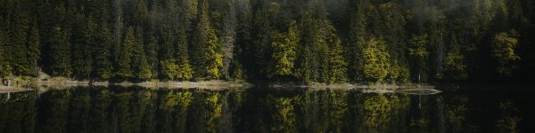 reflection of the forest in the lake Wallpaper 1590x400