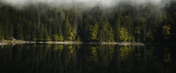 Обои 3440x1440 отражение леса в озере