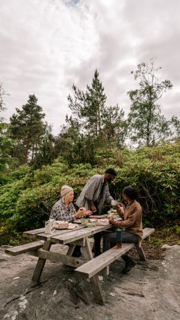 Picnic Wallpaper 640x1136