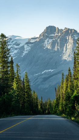 road Wallpaper 640x1136