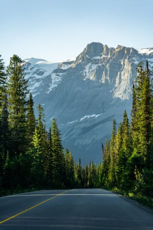 road Wallpaper 640x960