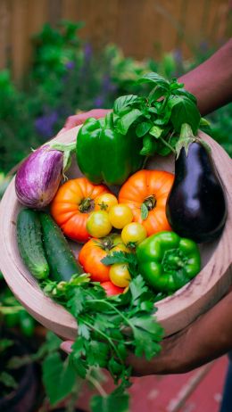 Vegetables in a bowl Wallpaper 750x1334