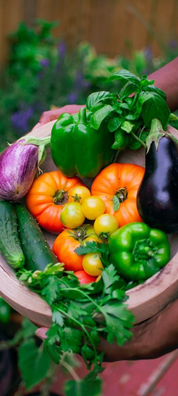 Vegetables in a bowl Wallpaper 1080x2400