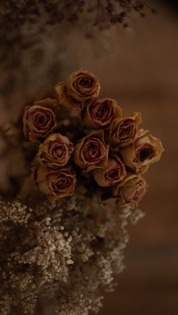 rose bouquet Wallpaper 640x1136