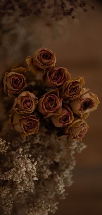 rose bouquet Wallpaper 1080x2280