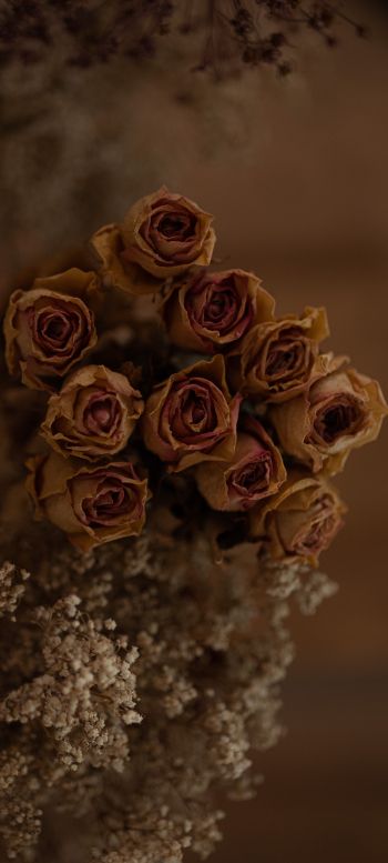 rose bouquet Wallpaper 1440x3200