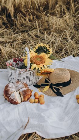 Picnic Wallpaper 640x1136