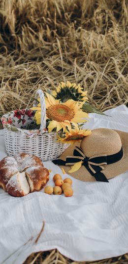 Picnic Wallpaper 1080x2220