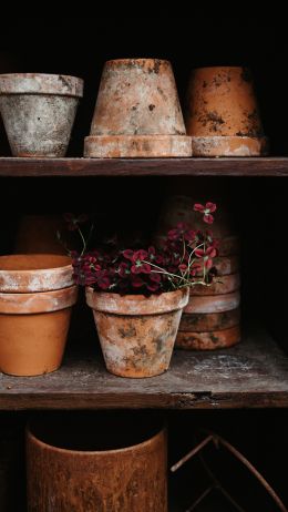 pots Wallpaper 750x1334