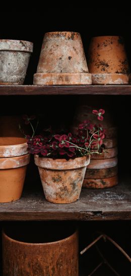 pots Wallpaper 1440x3040