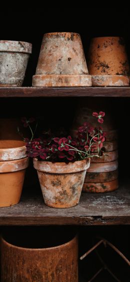 pots Wallpaper 1080x2340