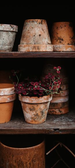 pots Wallpaper 1440x3200