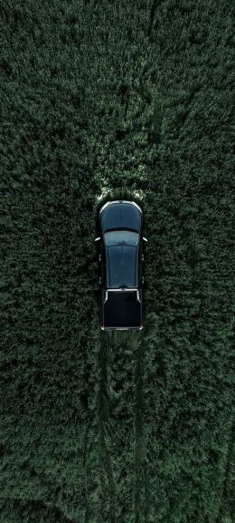 Car in the field Wallpaper 1440x3200