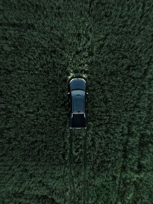 Car in the field Wallpaper 2873x3830