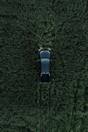 Car in the field Wallpaper 640x960
