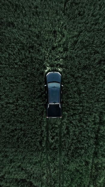 Car in the field Wallpaper 1440x2560