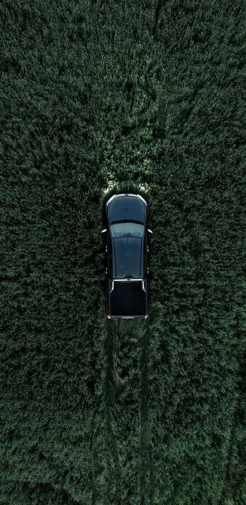 Car in the field Wallpaper 1440x2960
