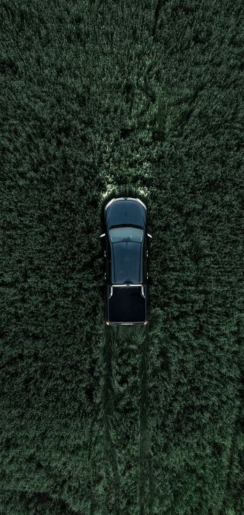 Car in the field Wallpaper 1080x2280