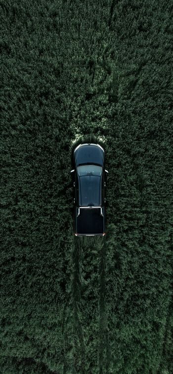 Car in the field Wallpaper 828x1792