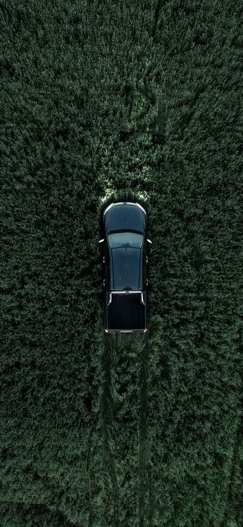 Car in the field Wallpaper 1080x2340