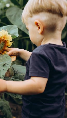 baby, sunflower Wallpaper 640x1136