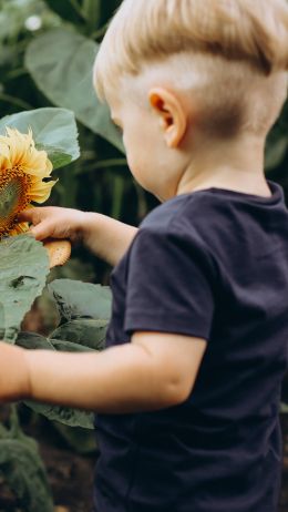 baby, sunflower Wallpaper 2160x3840