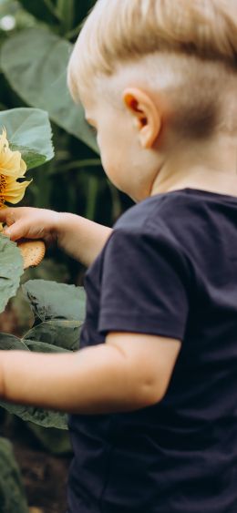 baby, sunflower Wallpaper 1080x2340