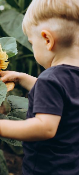 baby, sunflower Wallpaper 1080x2400