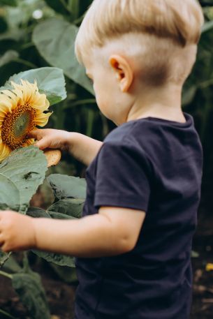 baby, sunflower Wallpaper 640x960