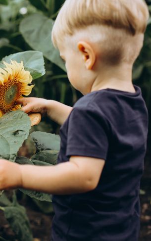 baby, sunflower Wallpaper 1752x2800