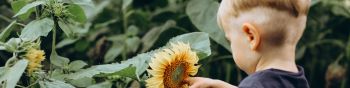 baby, sunflower Wallpaper 1590x400