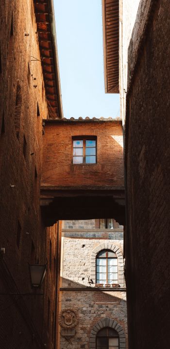 Siena, Province of Siena, Italy Wallpaper 1440x2960