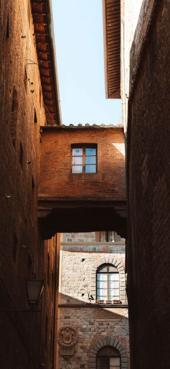 Siena, Province of Siena, Italy Wallpaper 1284x2778