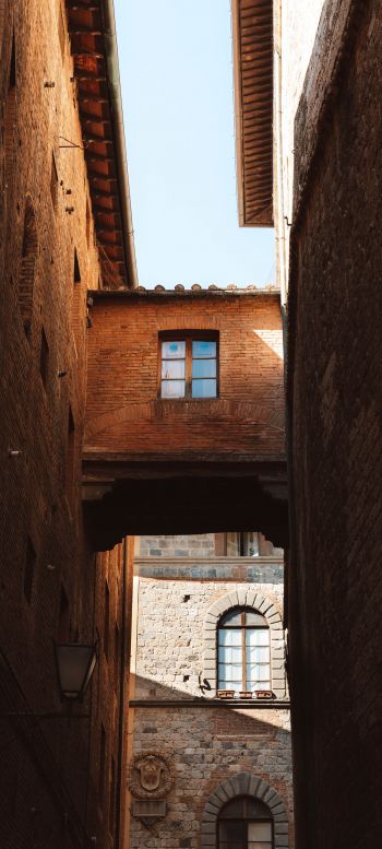 Siena, Province of Siena, Italy Wallpaper 1440x3200